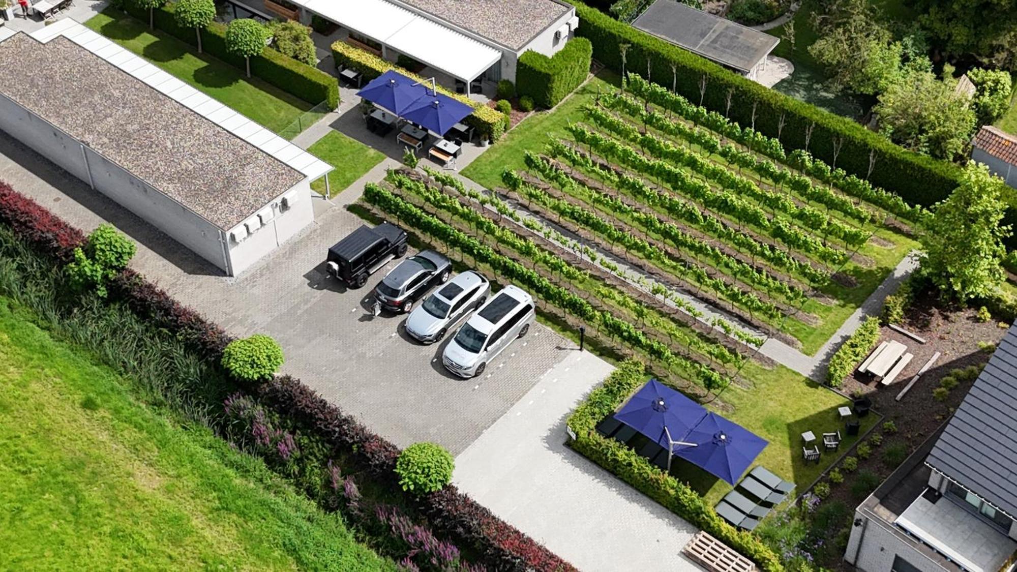Abalona Hotel & Apartments Dendermonde Luaran gambar