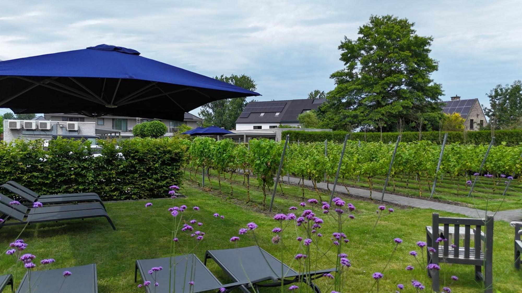 Abalona Hotel & Apartments Dendermonde Luaran gambar